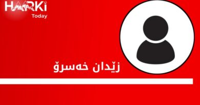 درۆی زیرەکی دەستکرد؛ هەم چەکێکی کوشندە، هەم پەناگەیەک بۆ تاوانباران